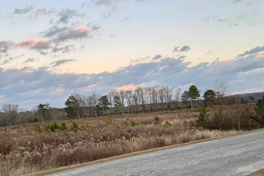 110 Co Rd 331, Crane Hill, AL 35053 - #2