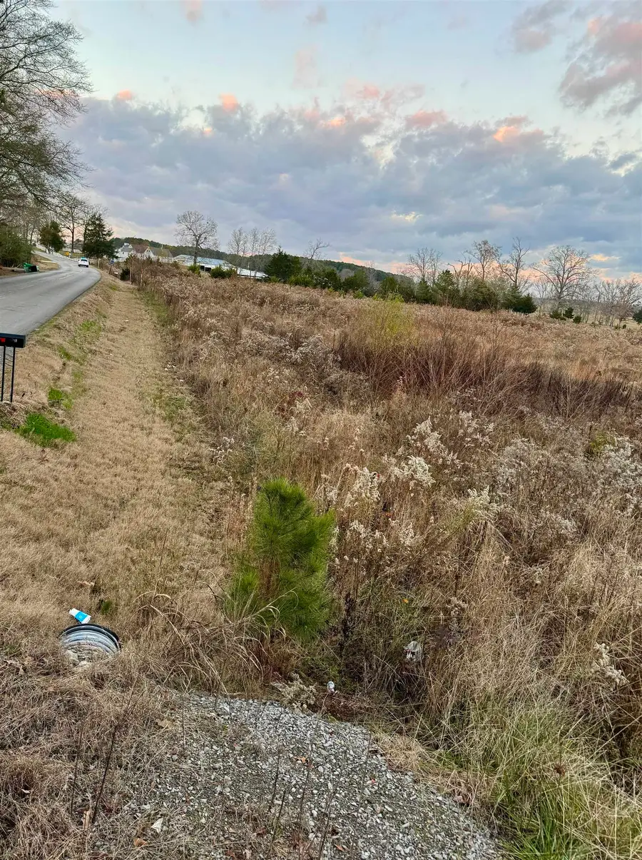 110 Co Rd 331, Crane Hill, AL 35053 - #3