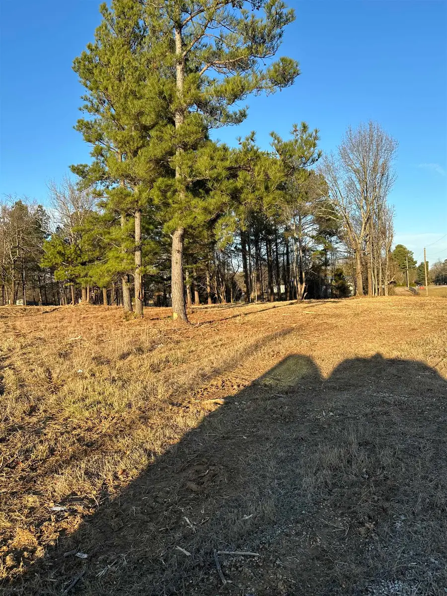 6900 Co Rd 327, Trinity, AL 35673 - Image #3