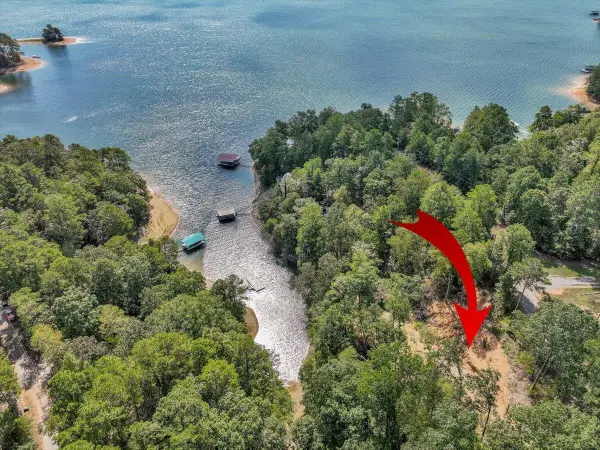 Lot 22 Co Rd 875, Crane Hill, AL 35053