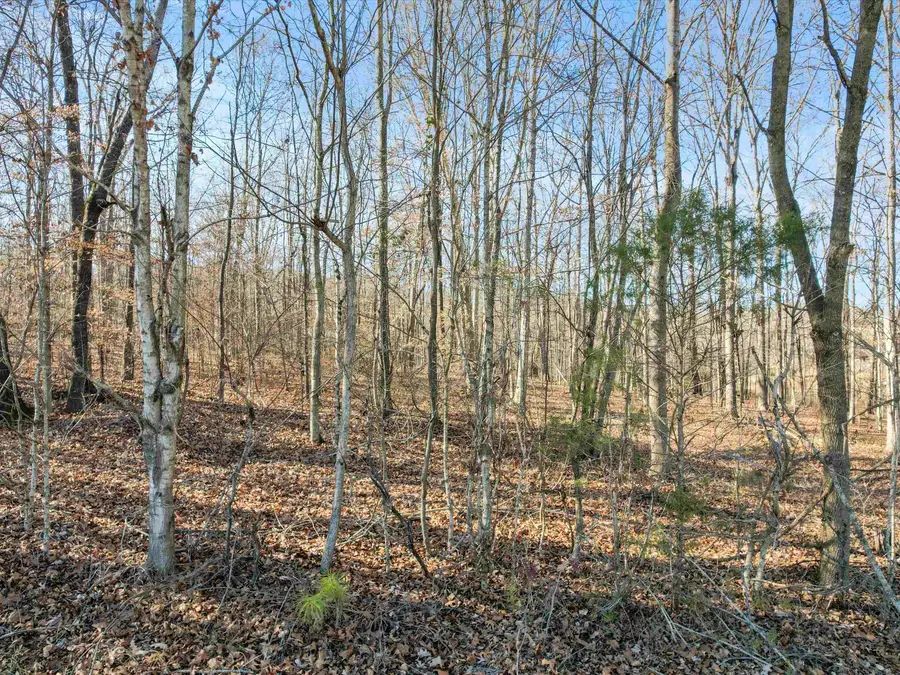 2 Acres Ole Man Ed Rd, Lester, AL 35647 - Image #2