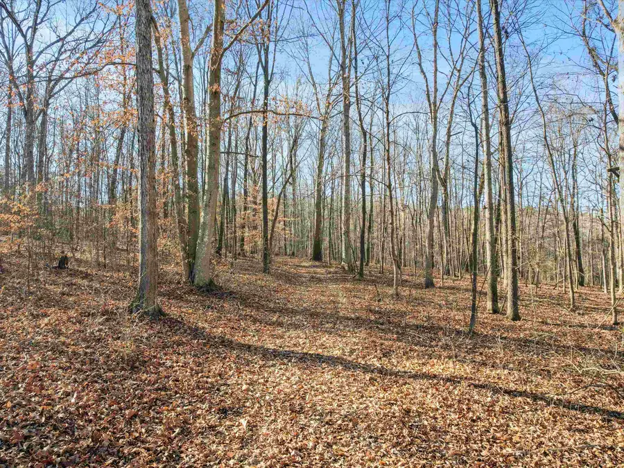 2 Acres Ole Man Ed Rd, Lester, AL 35647 - Image #3