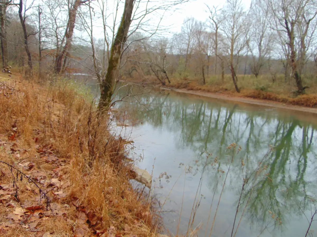 599 Co Rd 342, Killen, AL 35645 - Image #1