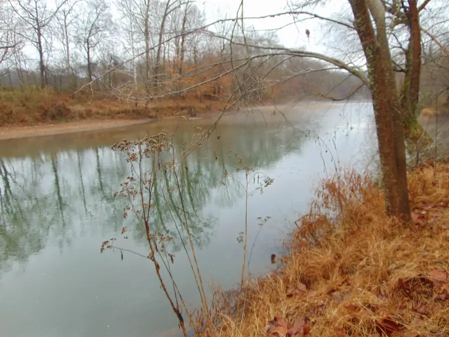 599 Co Rd 342, Killen, AL 35645 - Image #3