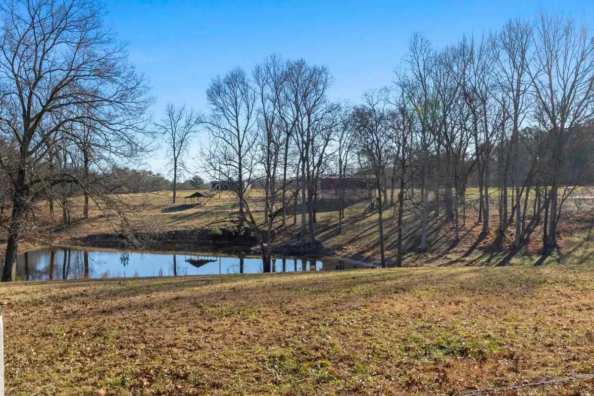 970 Co Rd 567, Rogersville, AL 35652 - Image #1