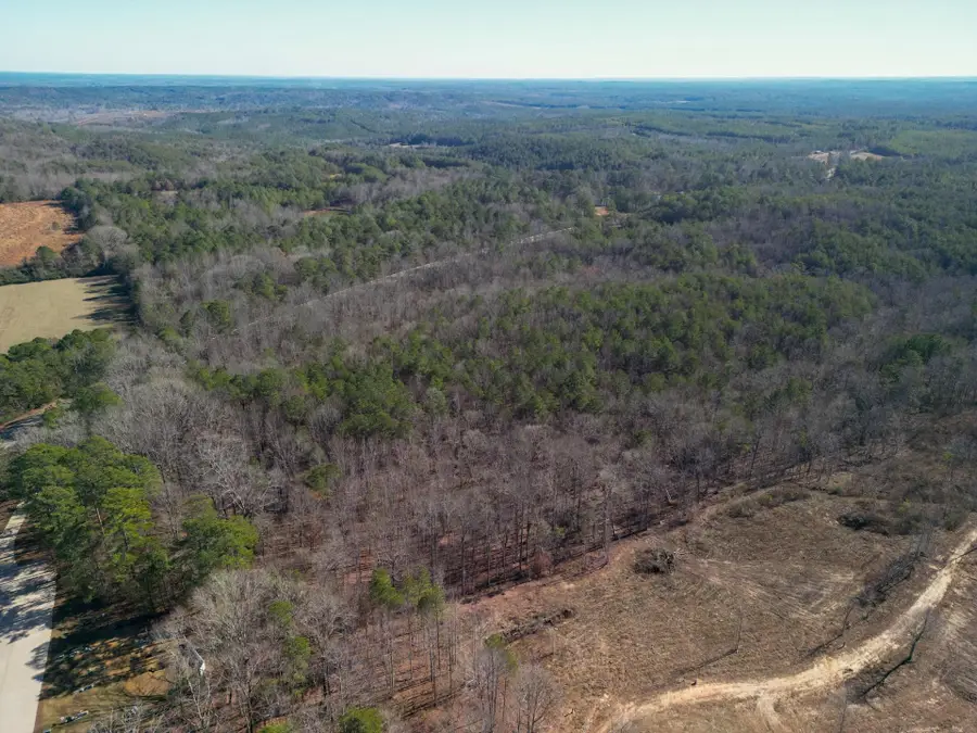 0 Byler Rd, Lynn, AL 35575 - #2