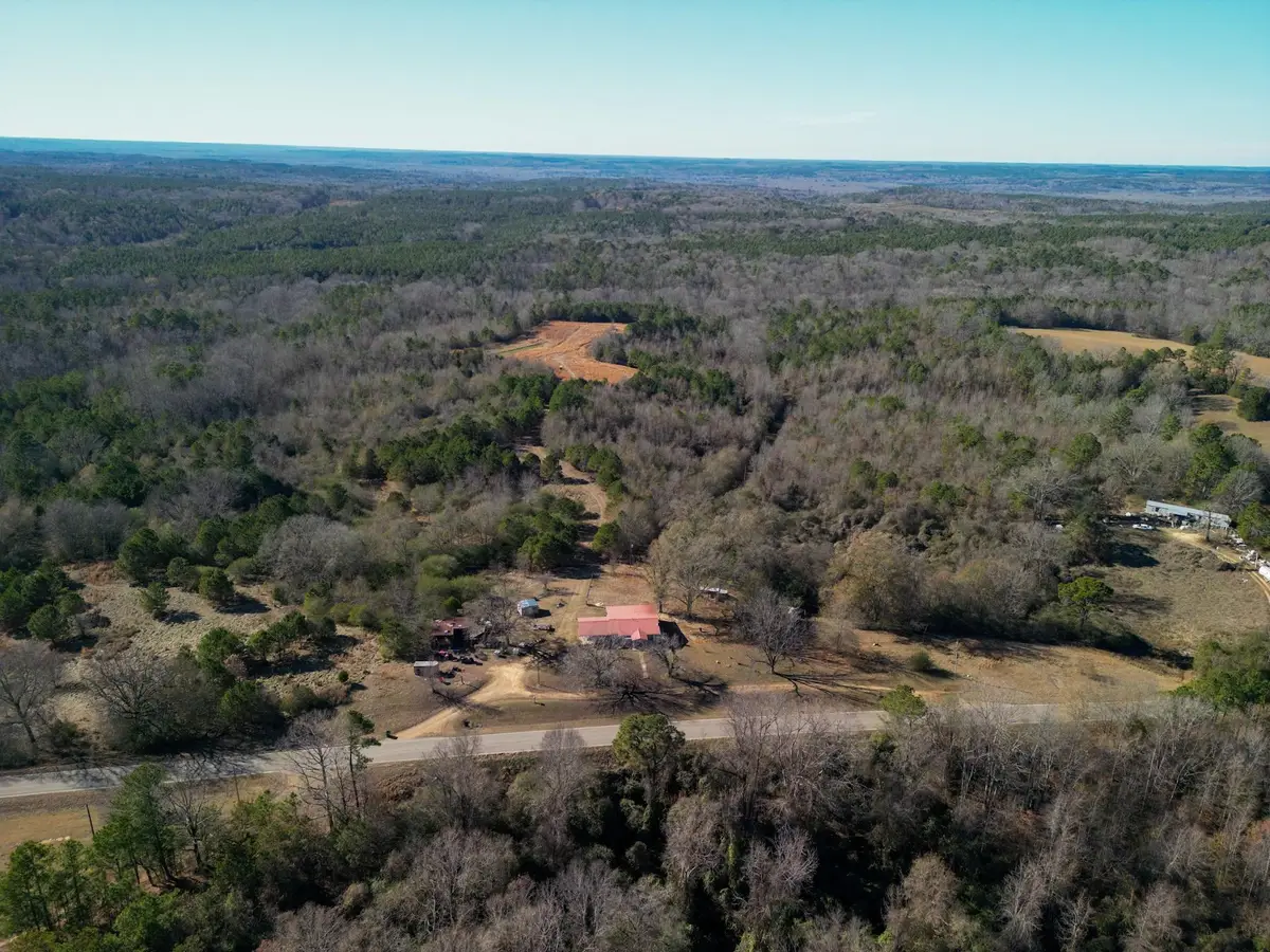 34655 Co Rd 49, Beaverton, AL 35544 - Image #1