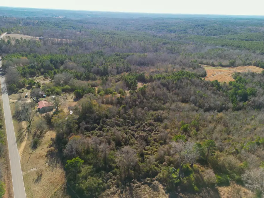 34655 Co Rd 49, Beaverton, AL 35544 - Image #2