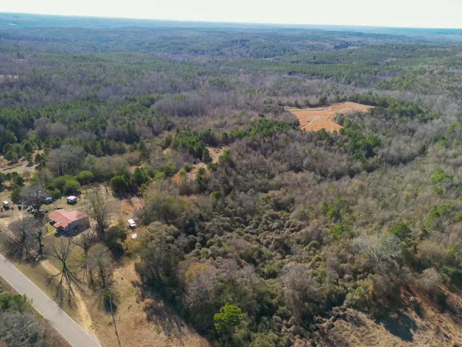 34655 Co Rd 49, Beaverton, AL 35544 - Image #3