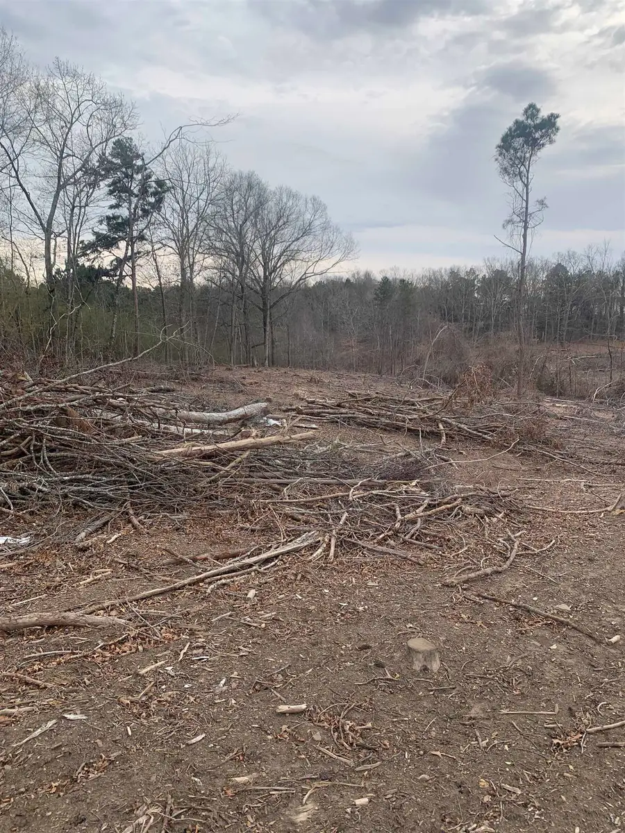 0 Hwy 13, Phil Campbell, AL 35581 - #3