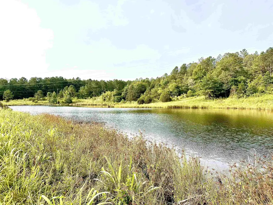 28940 Us Hwy 78, Carbon Hill, AL 35549 - Image #2