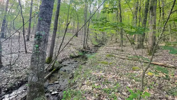 00 Co Rd 55, Russellville, AL 35653