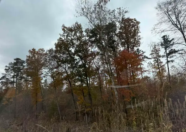 0 Co Hwy 88, Russellville, AL 35653