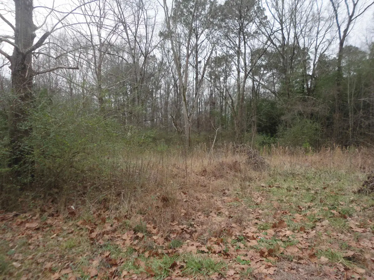 315 Self Ave, Hanceville, AL 35077 - Image #1