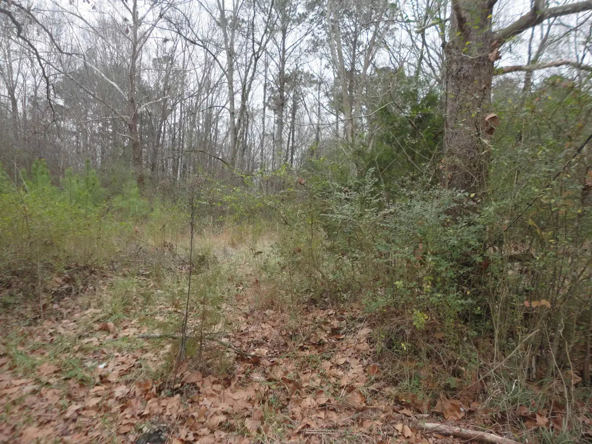 313 Self Ave, Hanceville, AL 35077 - Image #1