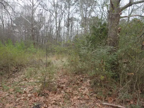 313 Self Ave, Hanceville, AL 35077