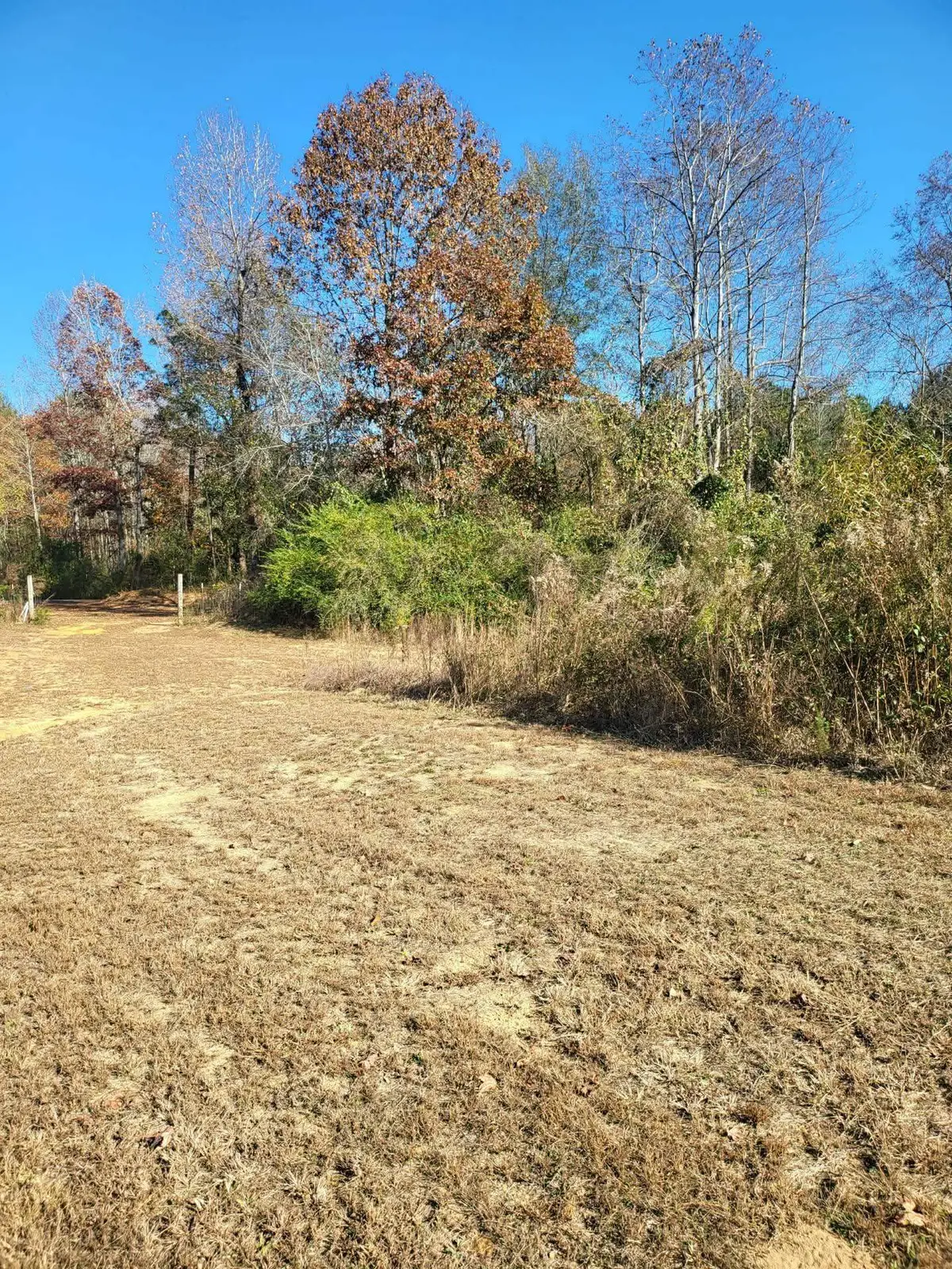 00 Co Rd 59, Nauvoo, AL 35578 - Image #1