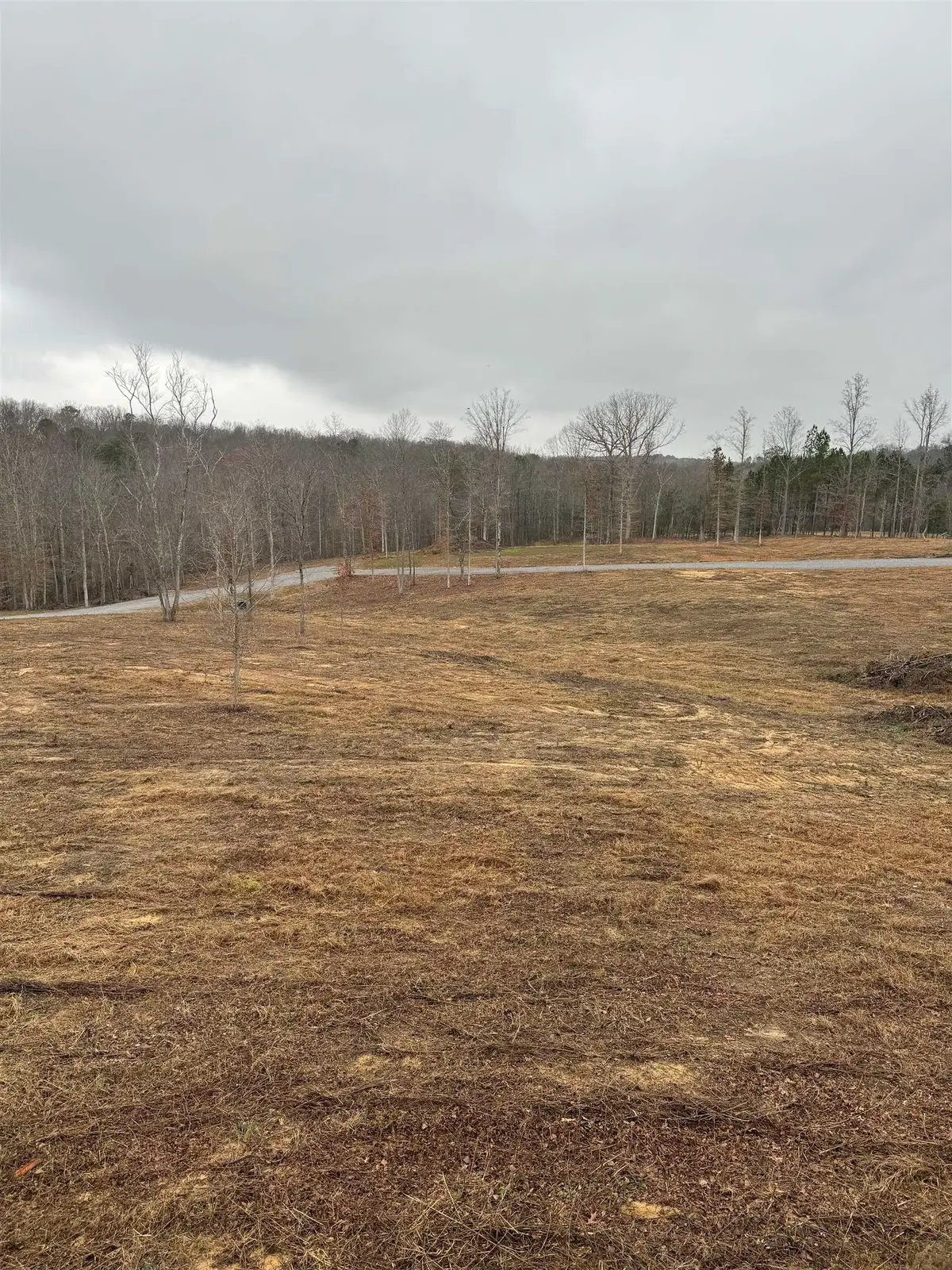 0 Eva Rd, Cullman, AL 35057 - Image #1