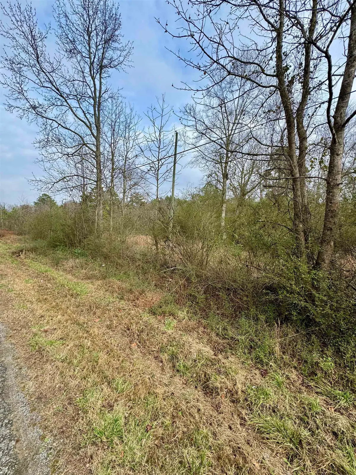 0 Alldredge Rd, Blountsville, AL 35031 - Image #1