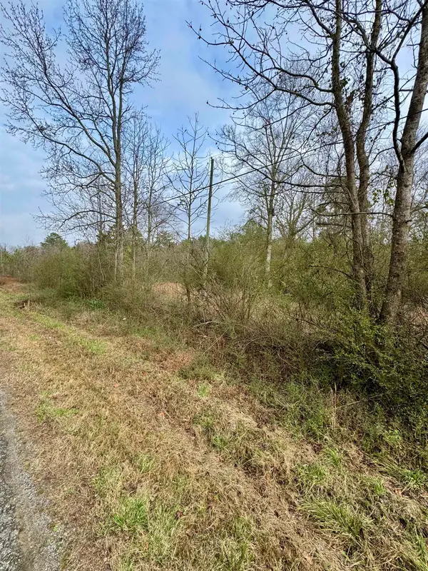 0 Alldredge Rd, Blountsville, AL 35031