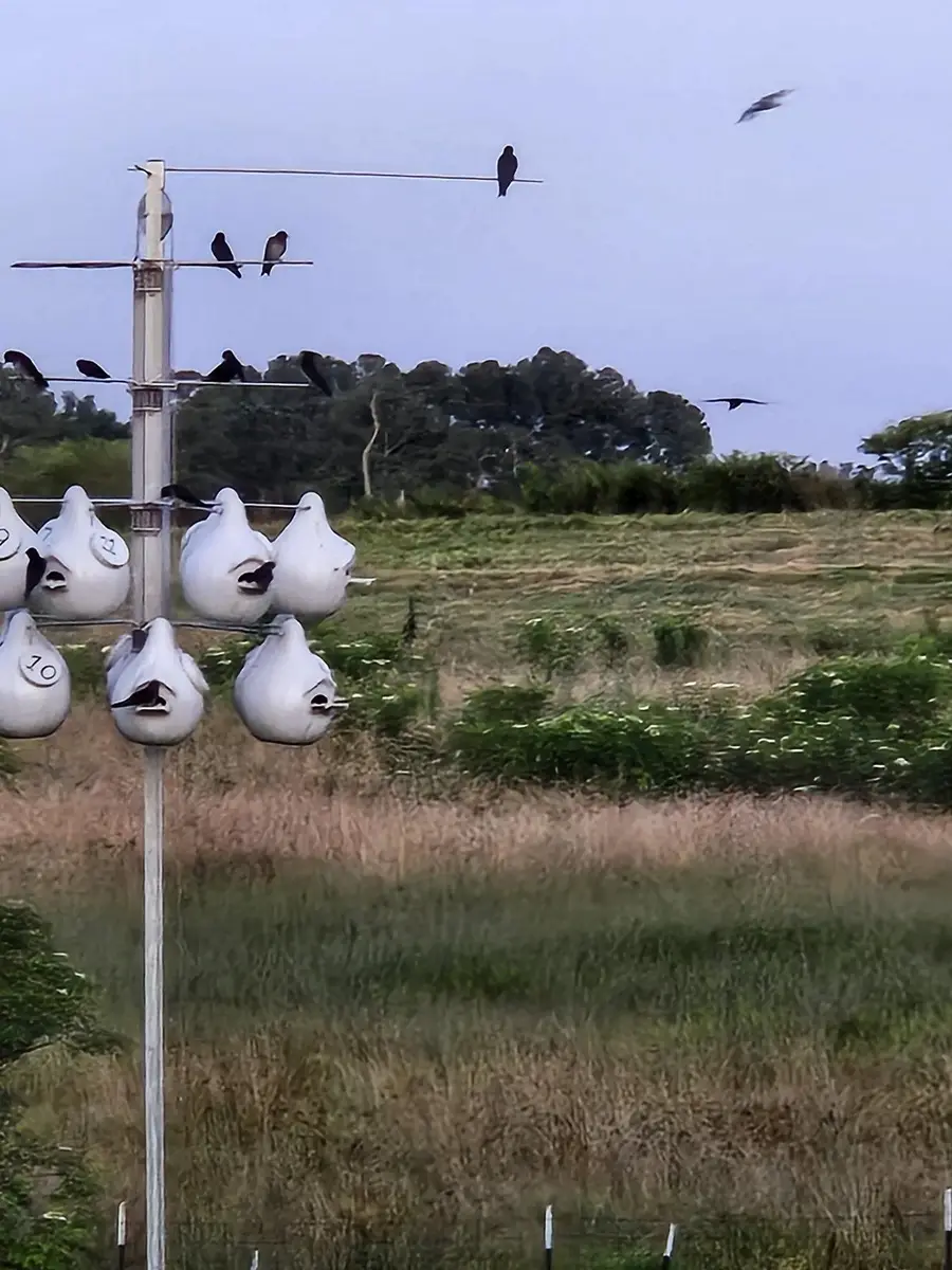 67 Co Rd 747, Cullman, AL 35058 - Image #3