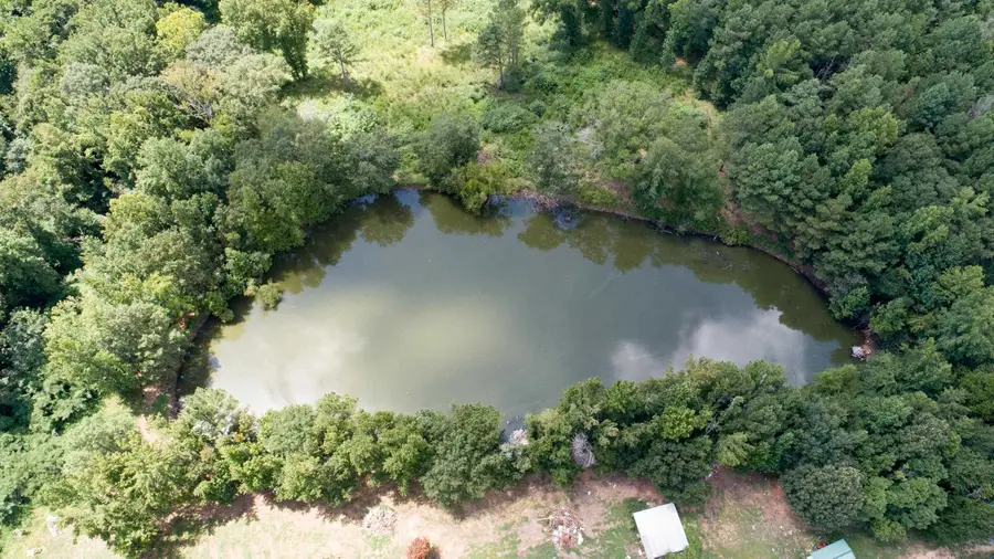 4163 Co Rd 31, Killen, AL 35645 - #2