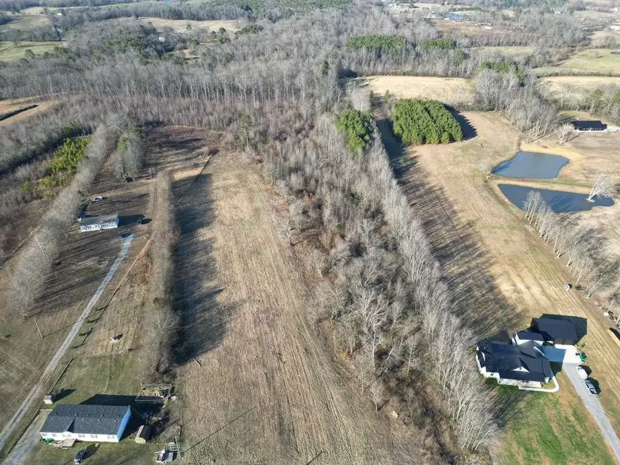 0 Co Rd 1597, Baileyton, AL 35019 - Image #3