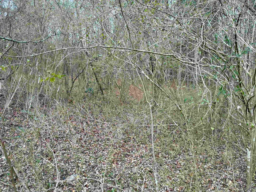 0 James N Hovater Rd, Russellville, AL 35653 - Image #3