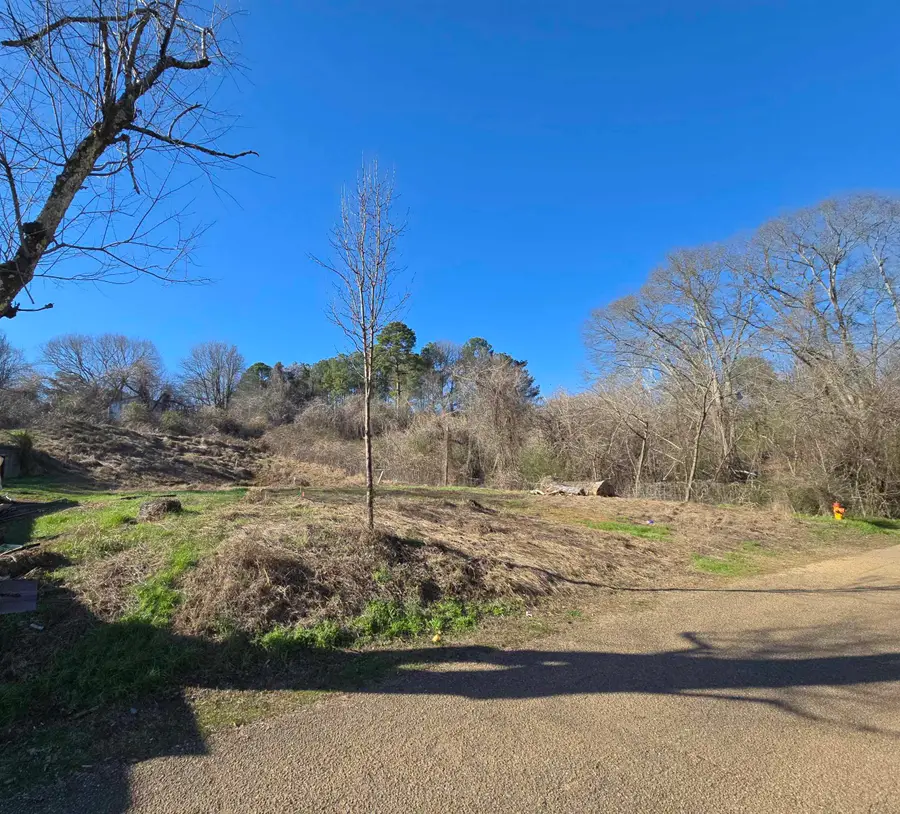 800 Walker Cir, Dora, AL 35062 - Image #2