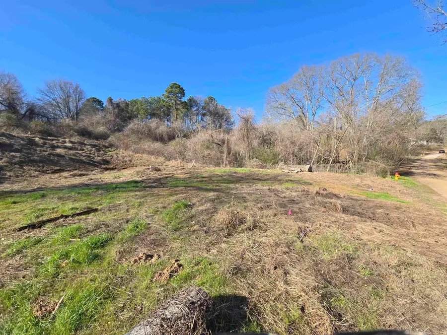 800 Walker Cir, Dora, AL 35062 - Image #3