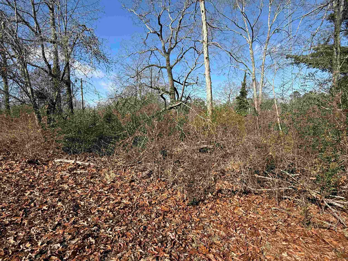 0 2nd Way, Cullman, AL 35055 - Image #1