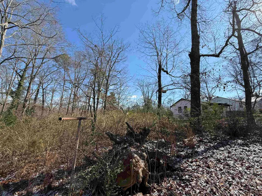 0 2nd Way, Cullman, AL 35055 - Image #2