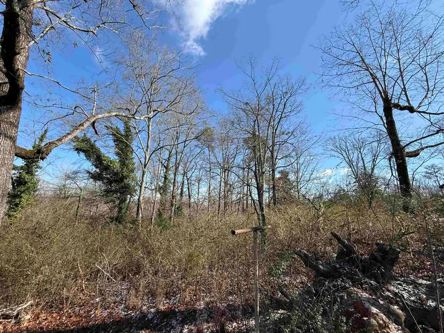 0 2nd Way, Cullman, AL 35055 - Image #3