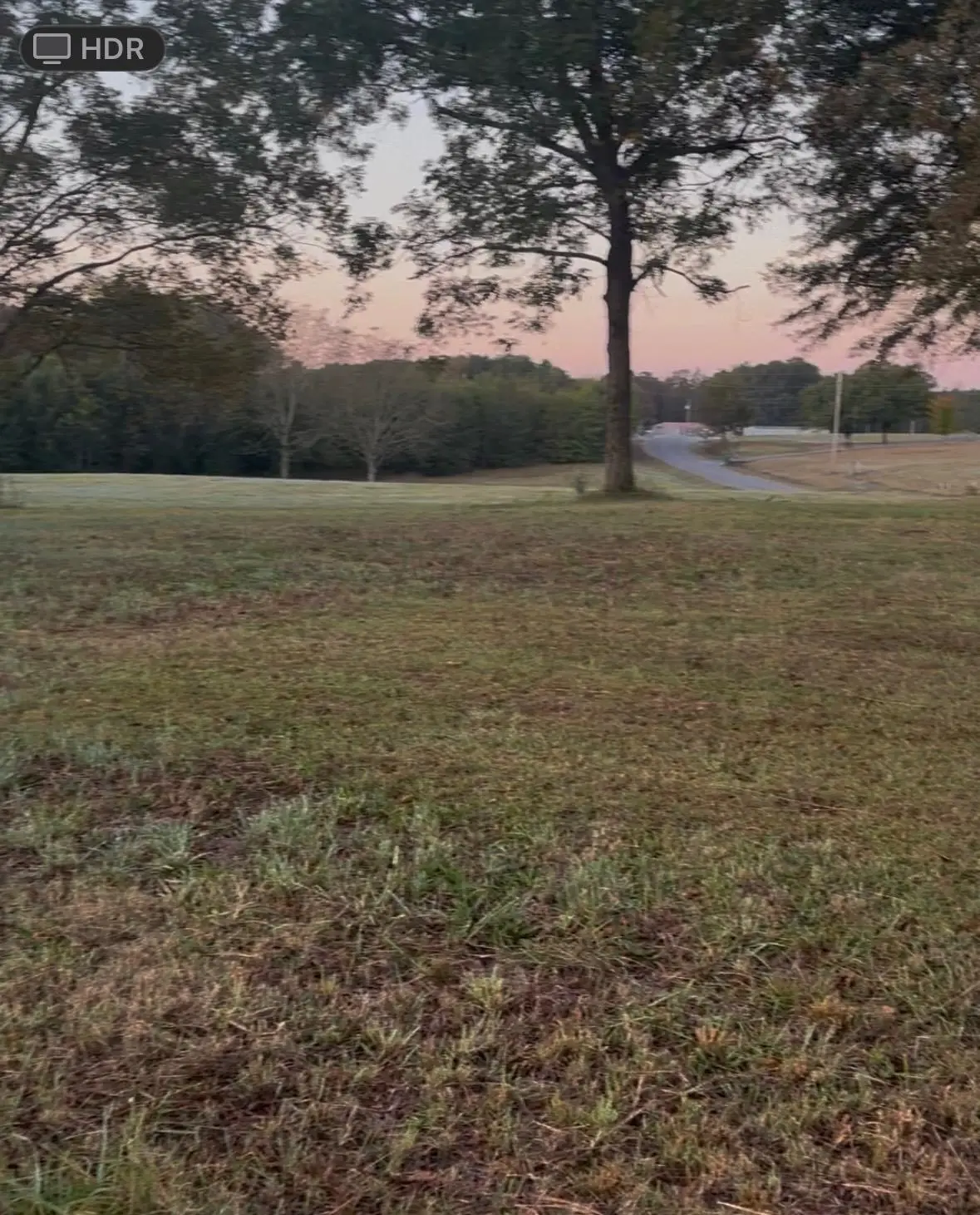 000 Co Rd 1755, Holly Pond, AL 35083 - Image #1