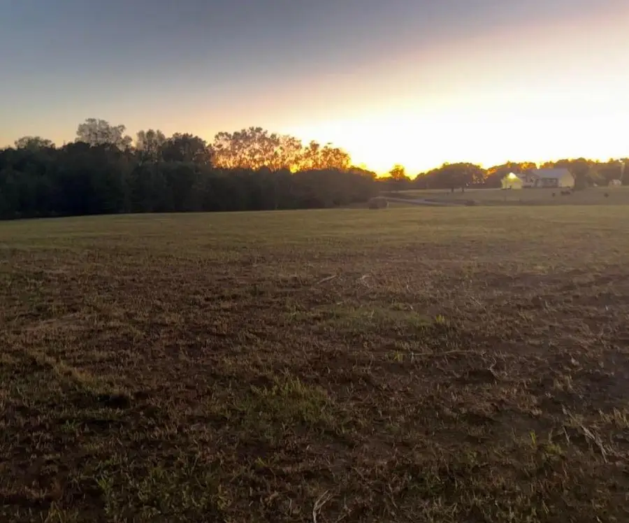 000 Co Rd 1755, Holly Pond, AL 35083 - Image #2