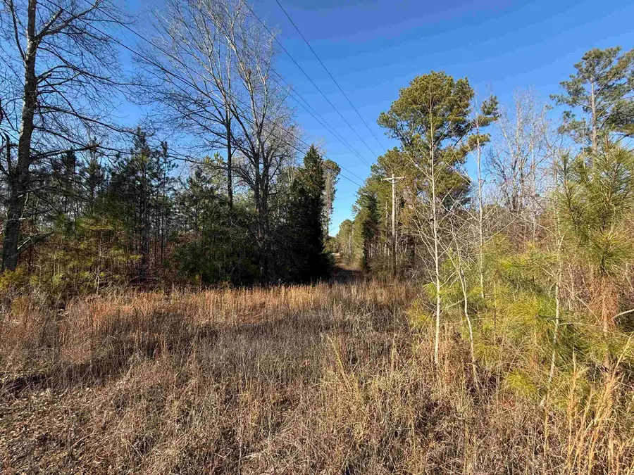 1181 Co Rd 38, Bremen, AL 35055 - Image #2