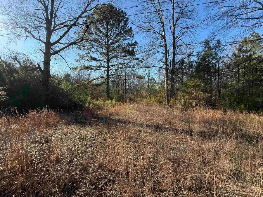 1181 Co Rd 38, Bremen, AL 35055 - Image #3