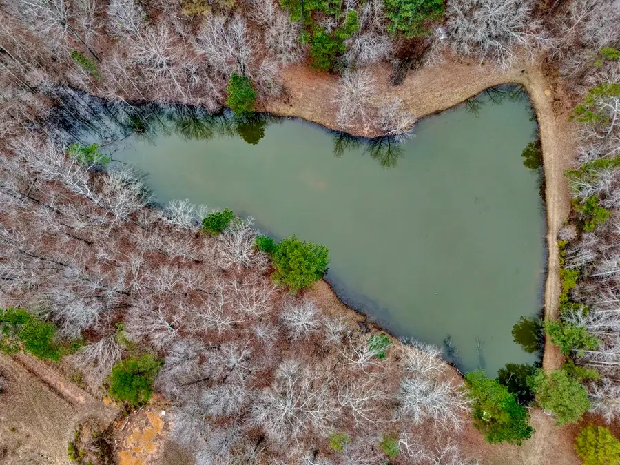 3916 Co Rd 18, Bremen, AL 35033 - Image #3