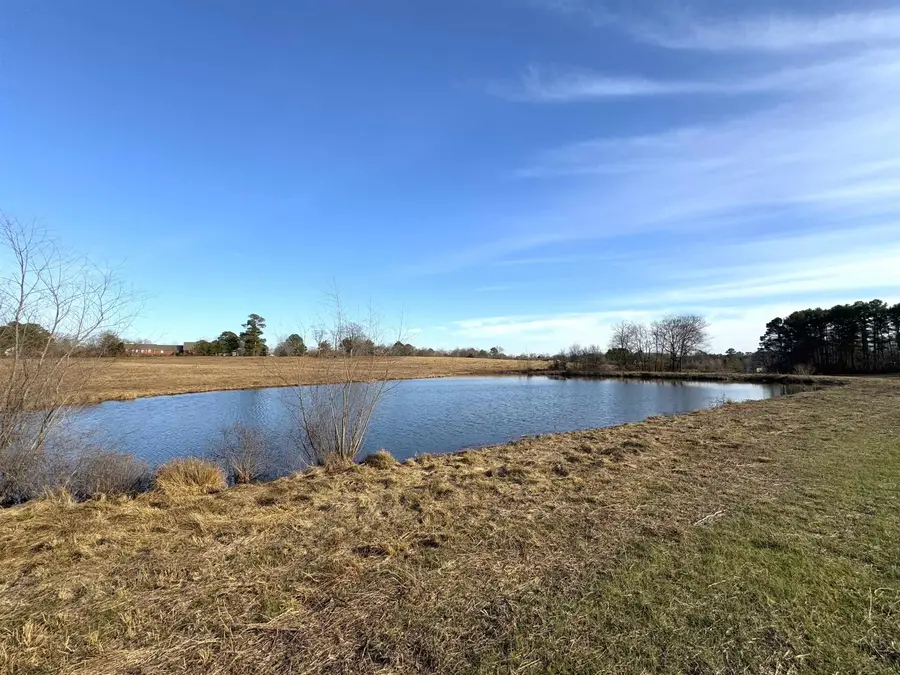 977 Co Rd 108, Rogersville, AL 35652 - Image #2