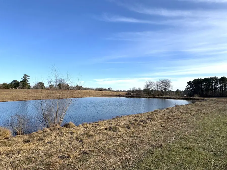 977 Co Rd 108, Rogersville, AL 35652 - Image #3