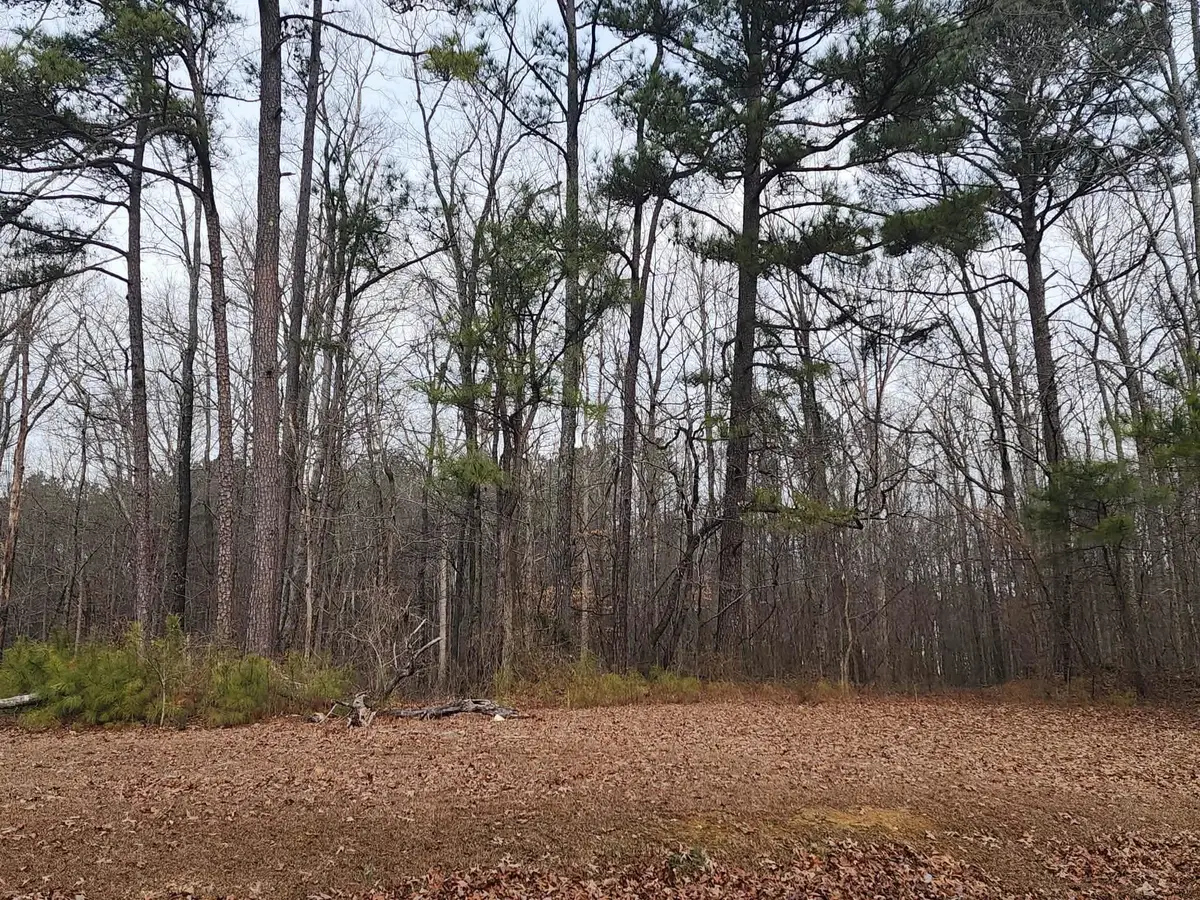 0 Co Rd 222, Bremen, AL 35033 - Image #1