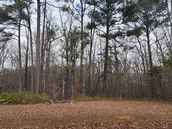 0 Co Rd 222, Bremen, AL 35033