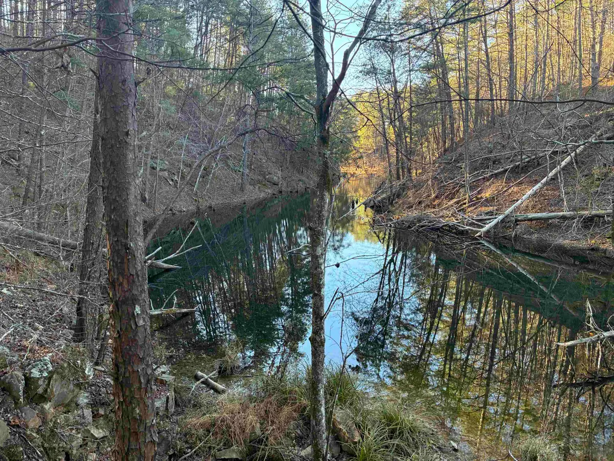 001 Pendley Creek Rd, Berry, AL 35546 - #1