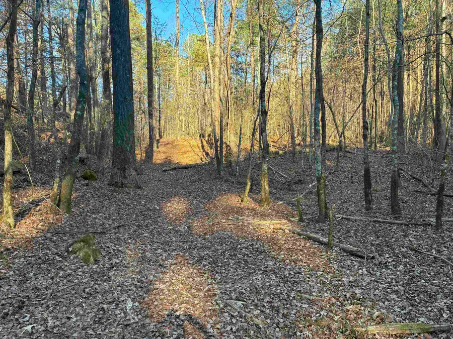 001 Pendley Creek Rd, Berry, AL 35546 - #3