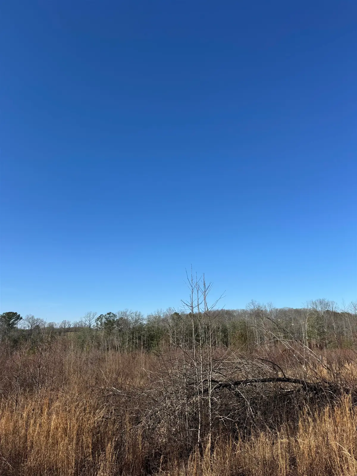 0 County Hwy 32, Hackleburg, AL 35564 - #1