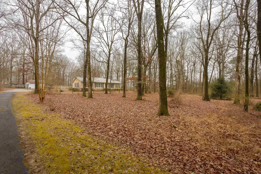 4950 Hwy 17, Florence, AL 35634 - #3