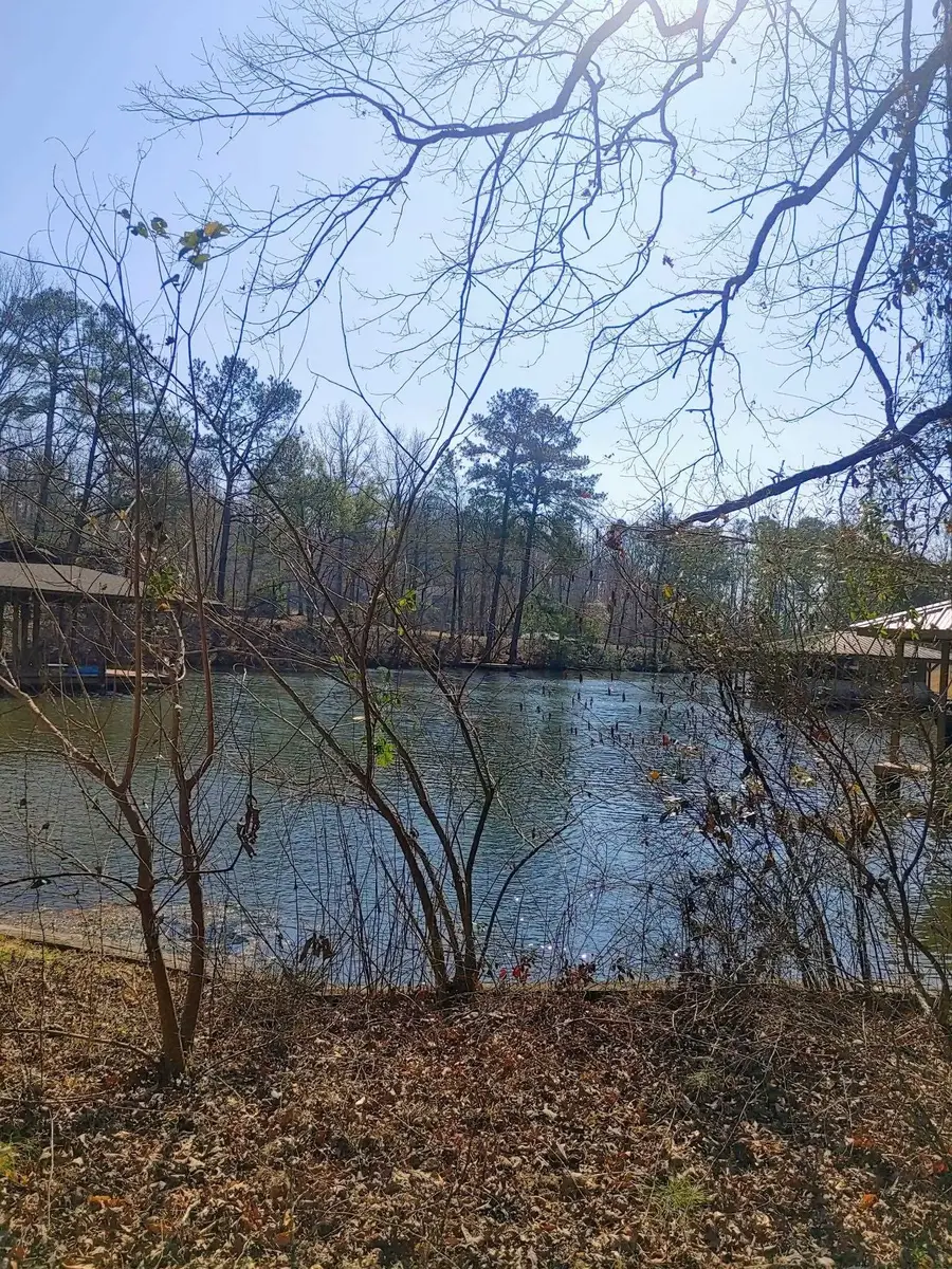 10 Yacht Club Rd, Titus, AL 36080 - #2