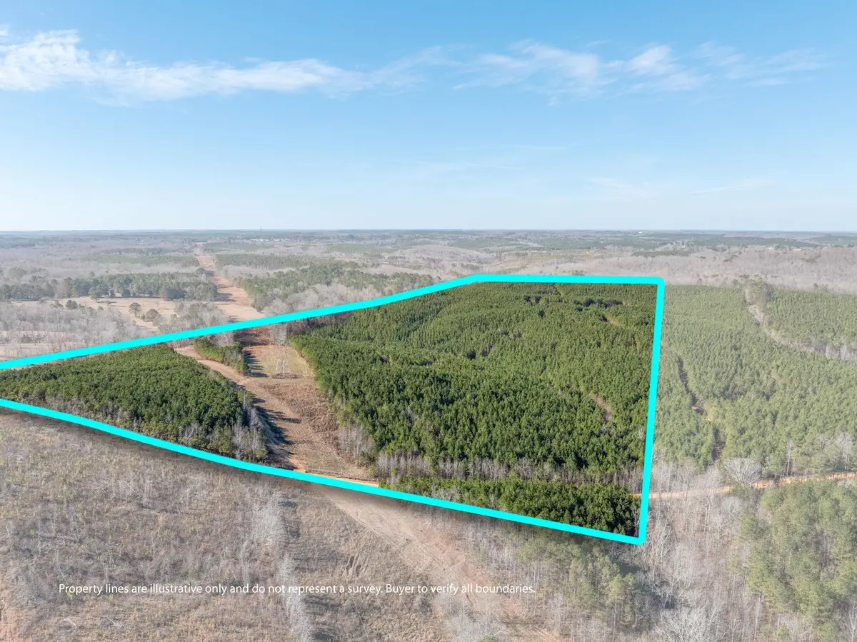 0 Co Rd 32, Hodges, AL 35571 - #1