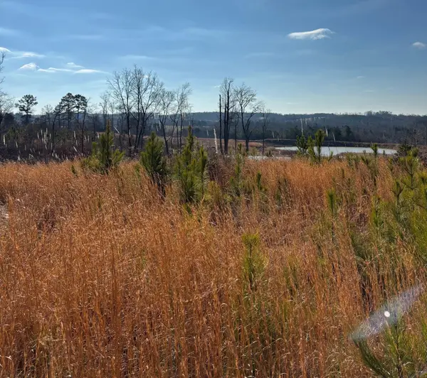 0 Co Rd 1073, Vinemont, AL 35179