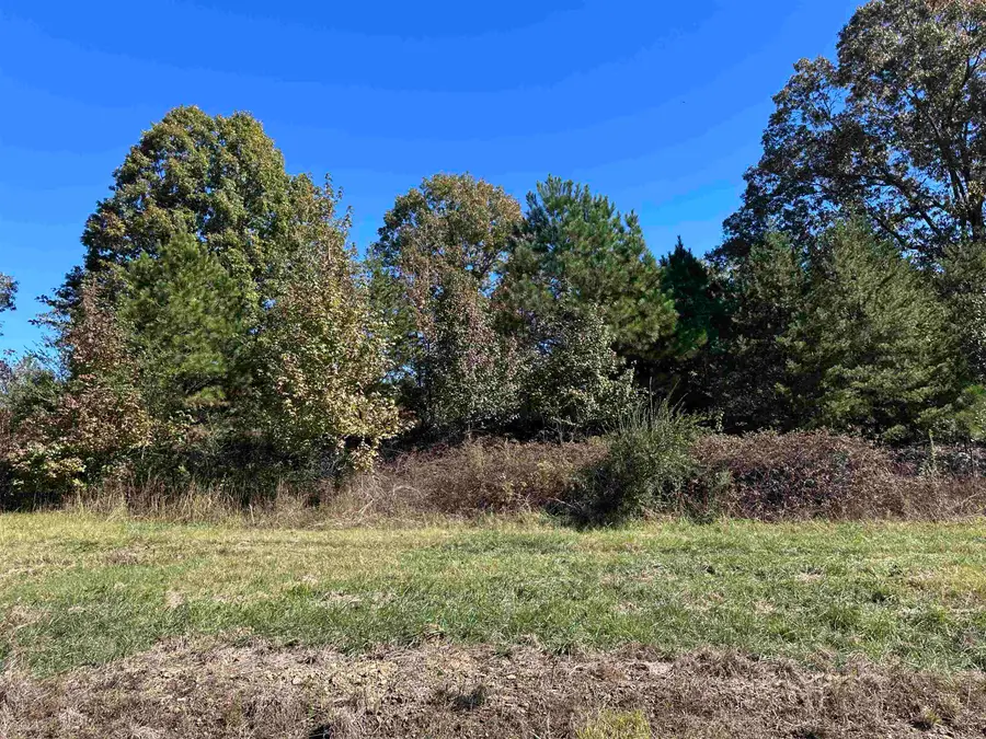 01 Co Hwy 195, Haleyville, AL 35565 - #3